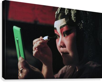 Final touch up  Canvas Print