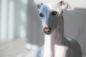 01172023misc 1246 Enhanced NR