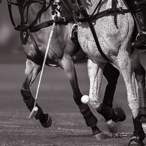 BZ9 2230 Enhanced NR 3