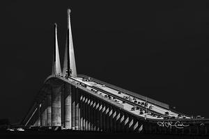 09102023 birds 389 Enhanced NR