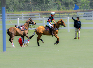 BZ9 2961 Enhanced NR