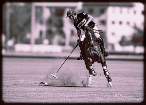 BZ9 0219 Enhanced NR 4