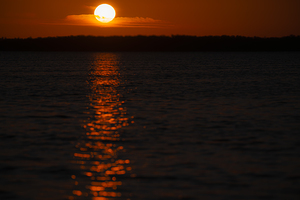 BZ9 2031 Enhanced NR