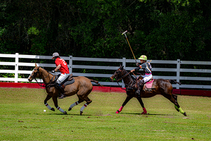 BZ9 2611 Enhanced NR