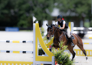 BZ9 4968 Enhanced NR