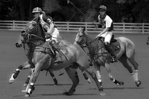 BZ9 5215 Enhanced NR