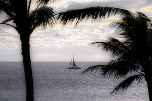 BZ9 6365 Enhanced NR