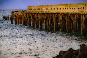 BZ9 7798 Enhanced NR