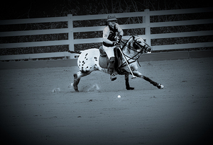 BZ9 9462 Enhanced NR