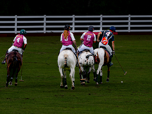 BZ9 9527 Enhanced NR