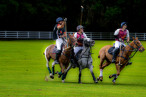 BZ9 9620 Enhanced NR