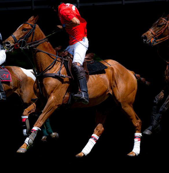 BZ9 1288 Enhanced NR Print