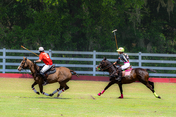 BZ9 2607 Enhanced NR Print