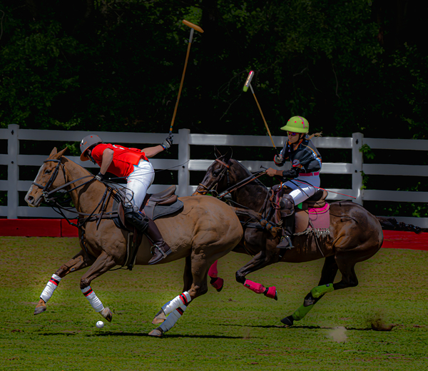 BZ9 2621 Enhanced NR Print