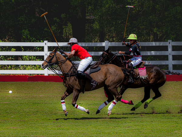 BZ9 2625 Enhanced NR Print