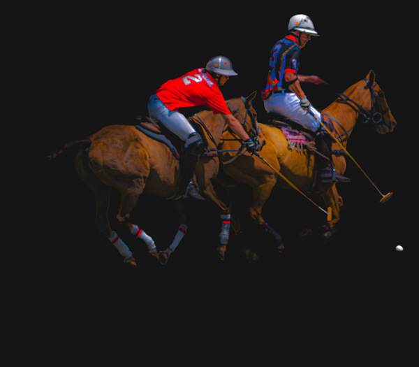 BZ9 2937 Enhanced NR Print