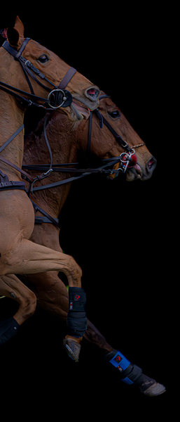 BZ9 4165 Enhanced NR Print