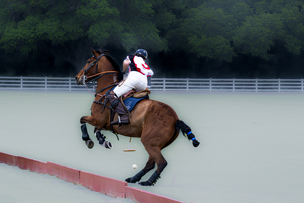 BZ9 4651 Enhanced NR Print