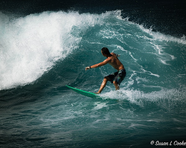 Surfing fun