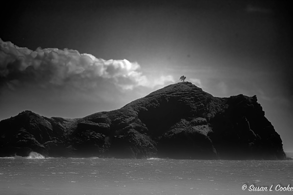 BZ9 7348 Enhanced NR Print