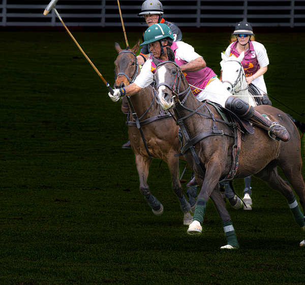 BZ9 9566 Enhanced NR Print