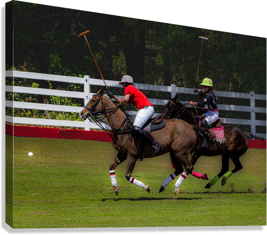 BZ9 2625 Enhanced NR Canvas Print