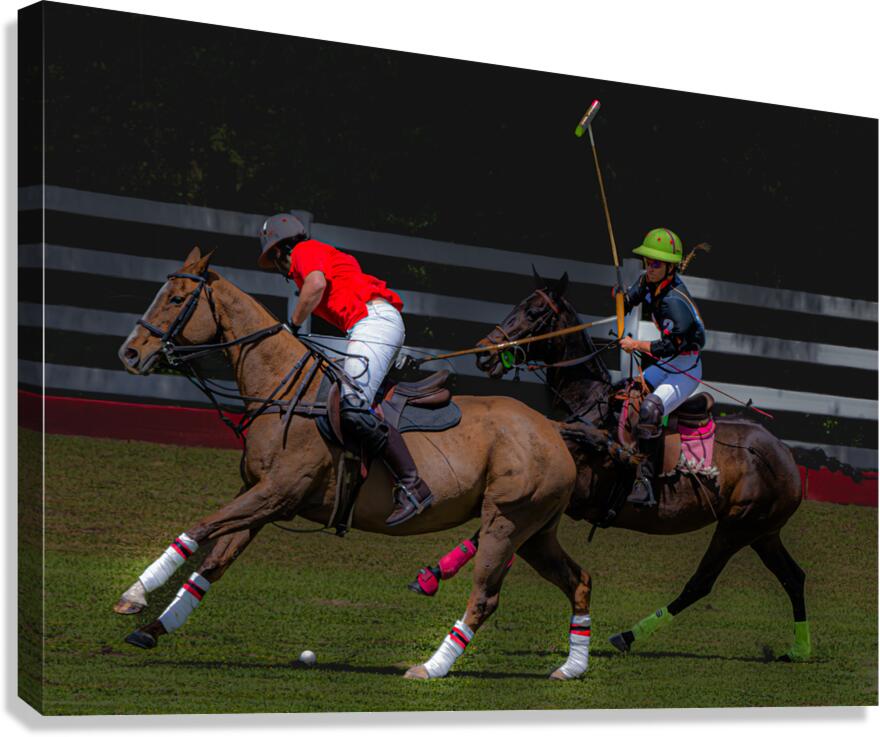 BZ9 2622 Enhanced NR Canvas Print