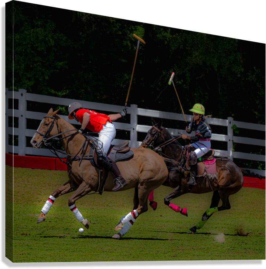 BZ9 2621 Enhanced NR Canvas Print