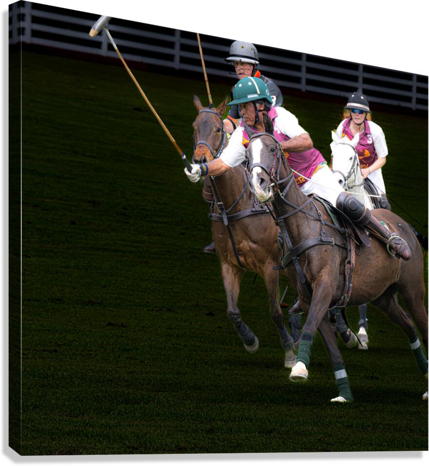 BZ9 9566 Enhanced NR Canvas Print