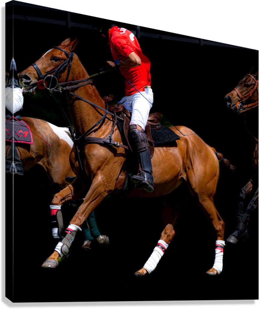 BZ9 1288 Enhanced NR Canvas Print