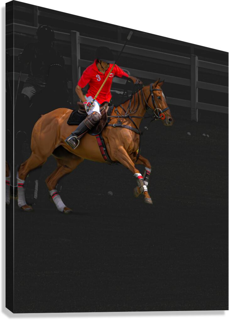 BZ9 1417 Enhanced NR Canvas Print