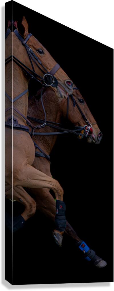 BZ9 4165 Enhanced NR Canvas Print