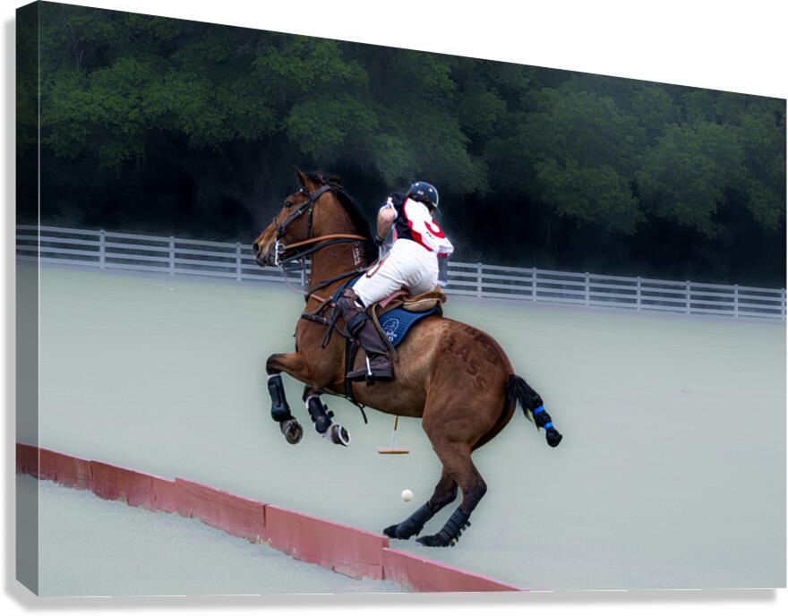 BZ9 4651 Enhanced NR Canvas Print