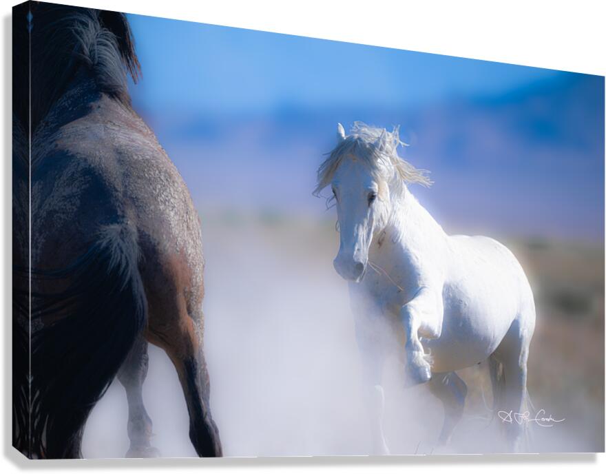 BZ9 9220 Enhanced NR Canvas Print