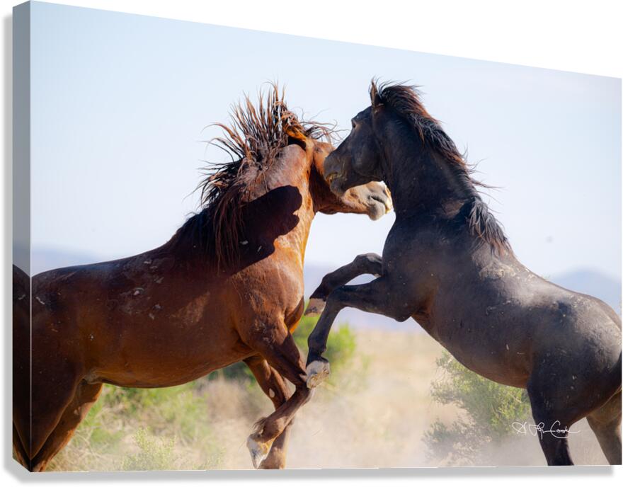 BZ9 0026 Enhanced NR 2 Canvas Print