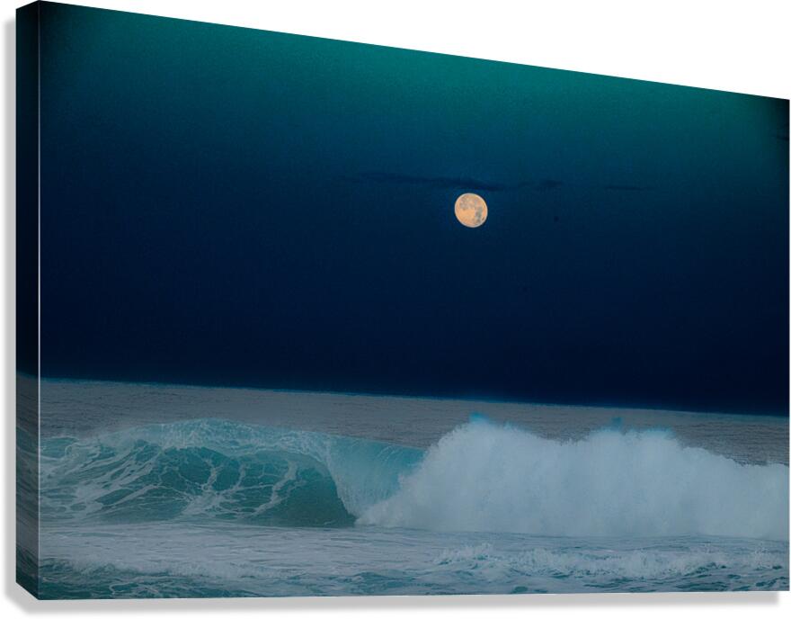 BZ9 8636 Canvas Print