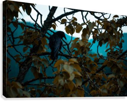 Ravens Watch Canvas Print