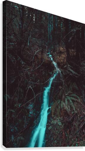 DarkWaterfall Canvas Print