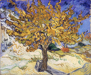 Vincent Van Gogh - The Mulberry Tree 1889