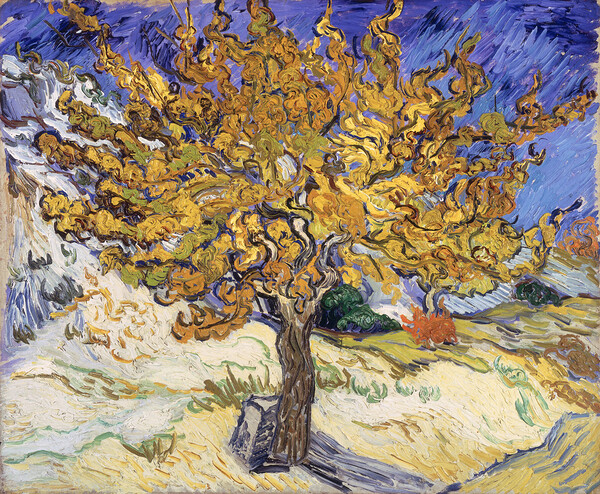 Vincent Van Gogh - The Mulberry Tree 1889 by Wirla