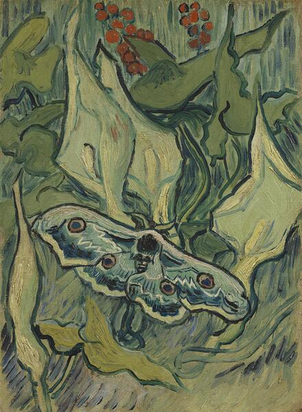 Emperor Moth - Vincent Van Gogh . 1889 by Wirla