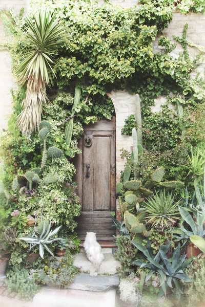 Chat et porte  |  Cat and Door   by Louise Tanguay