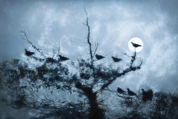Eclipse partielle  |  Partial Eclipse by Louise Tanguay