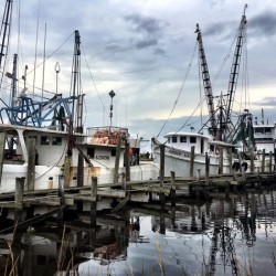 Georgetown SC Shrimp boats
