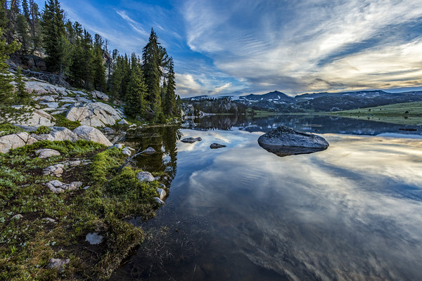LWnsf 1191 by D Robert Franz