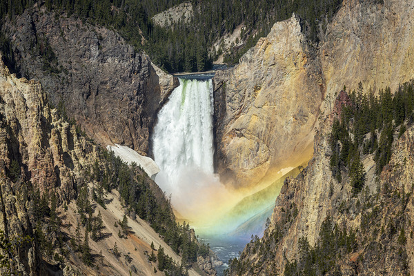 Lower Falls of the Yellowstone by D Robert Franz