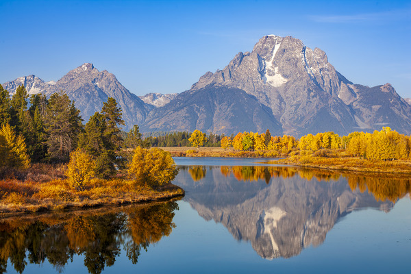 Teton Autumn Splendor by D Robert Franz