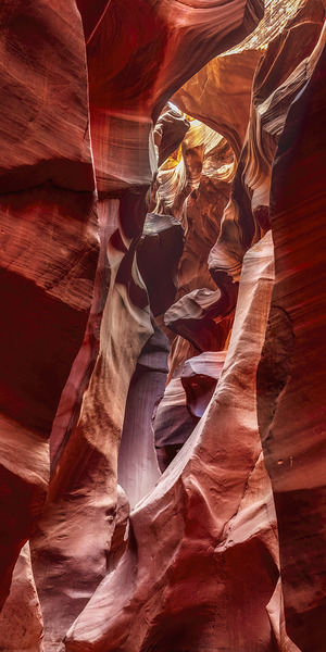  DSR9469 Edit Edit Edit by D Robert Franz