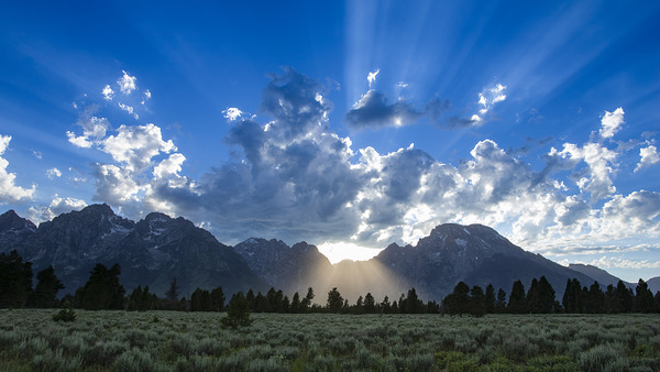 LWYgtnp0124 Edit by D Robert Franz