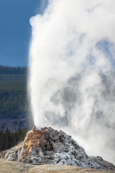 Eruption of White Dome Geyser in Yellowstone by D Robert Franz